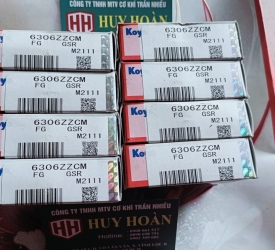 Bạc đạn Koyo 6306ZZCM GSR