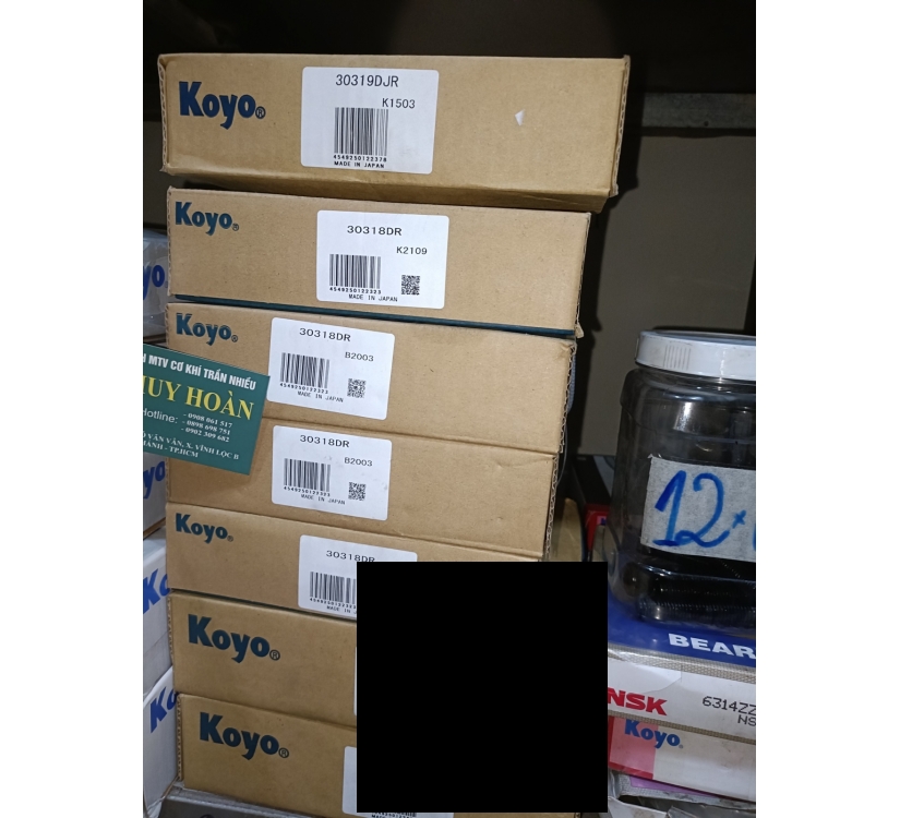 Bạc đạn Koyo 6306ZZCM GSR