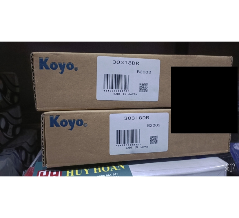 Bạc đạn Koyo 6306ZZCM GSR